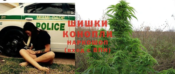прущие крисы Вяземский