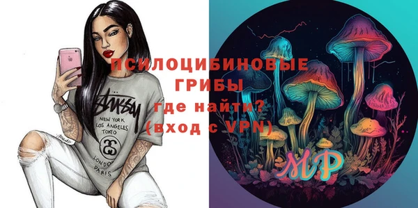 прущие крисы Вяземский