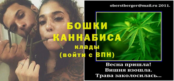прущие крисы Вяземский
